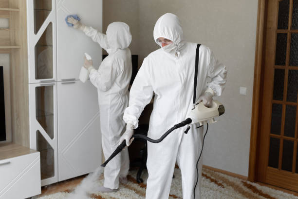 Best Toxic Mold Removal  in Overland, MO